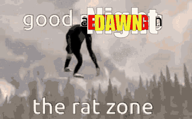 a poster that says good a night the rat zone