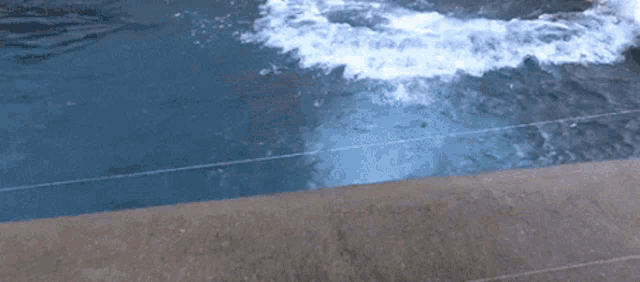 a polar bear is jumping out of a pool