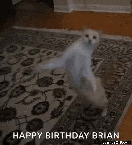 a cat is dancing on a rug in a living room with the words `` happy birthday brian '' written below it .