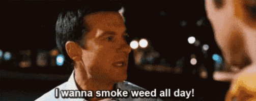 a man says i wanna smoke weed all day while talking to another man