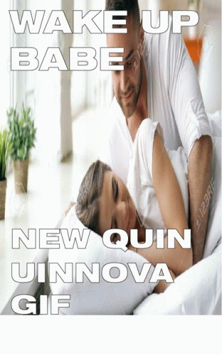 Quinnova Quinn Gray GIF - Quinnova Quinn Gray Quinn GIFs