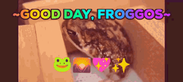 Good Day Froggos Grumpy Frogs GIF - Good Day Froggos Grumpy Frogs Frog GIFs