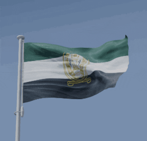 a green white and black flag with a gold emblem