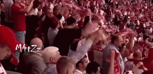 Poland Fans GIF - Poland Fans Wave GIFs