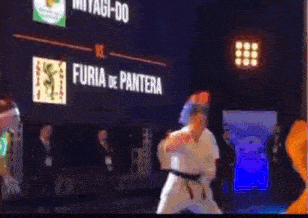 a karate match between miyagi do and furia de pantera is being played