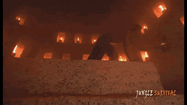 a poster for jungle survival shows a man surrounded by fires