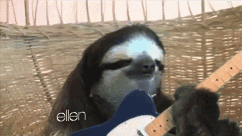 a sloth is playing a guitar with the name ellen on the bottom