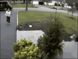 Ahh GIF