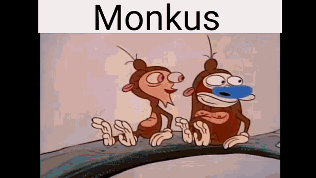Meme Memes GIF - Meme Memes Monke GIFs