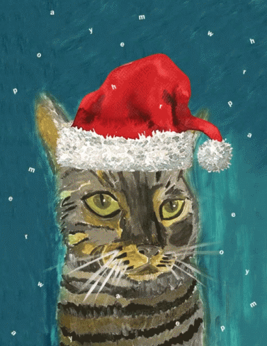 Cat Christmas GIF - Cat Christmas Meow GIFs
