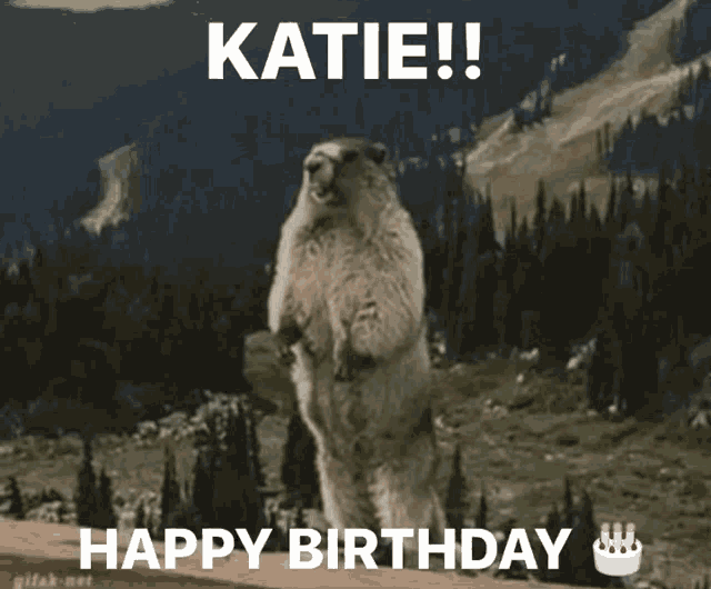 Katie Happy Birthday GIF - Katie Happy Birthday GIFs