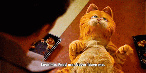 Needy Garfield GIF - Needy Garfield Love Me GIFs