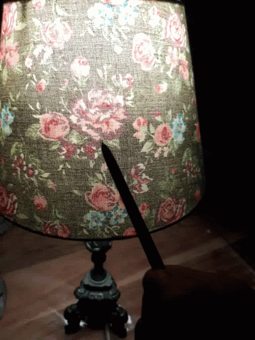 Hocus Pocus Lamp GIF
