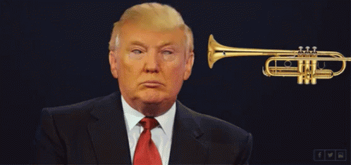 Women Power GIF - Women Power Donald Trump Trumpet GIFs