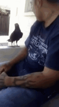 a man wearing a blue shirt that says ' stoaion ' on it
