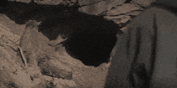 a person standing in front of a dark cave with a tree trunk in the foreground