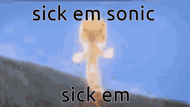 a picture of a giraffe with the words " sick em sonic sick em "