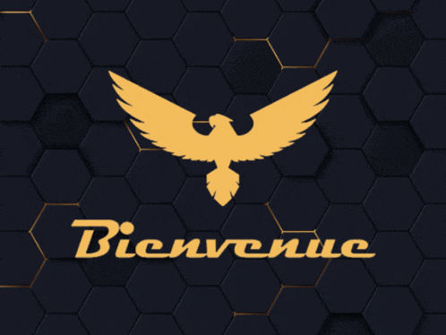 a logo with a bird and the word bienvenue
