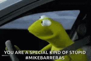 Barrio Sesamo Kermit GIF - Barrio Sesamo Kermit You Are Special GIFs