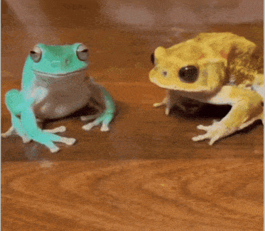 two frogs are sitting next to each other on a wooden surface