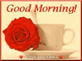 a red rose is sitting next to a cup of coffee and says good morning i love you erika