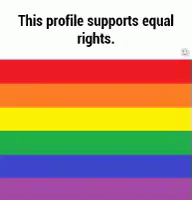This Profile Supports Gay Rights GIF - Gay Pride Equal GIFs