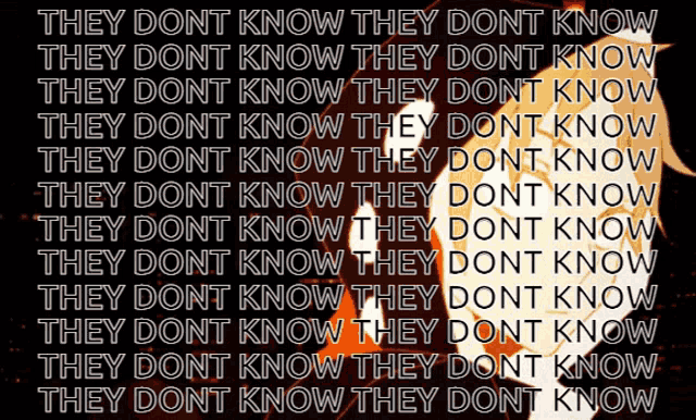 a repeating pattern of the words " they dont know "