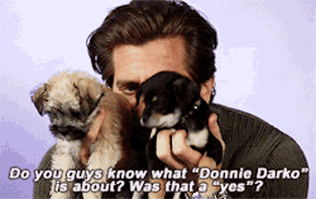 Donnie Darko Yes GIF - Donnie Darko Yes Pet GIFs