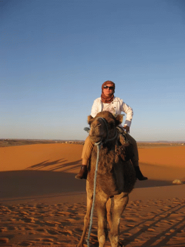 Mi Primer Paseo En Camello Por Merzouga GIF - Mi Primer Paseo En Camello Por Merzouga GIFs