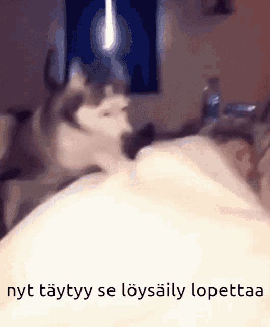 a blurred image of a cat with the words nyt täyttö se loysaily lopettaa below it