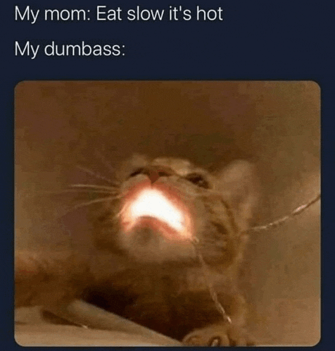 a cat with a light coming out of its mouth that says my mom eat slow it 's hot my dumbass :