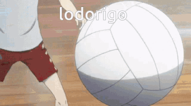 a person in red shorts is kicking a volleyball with the word lodorigo written on it