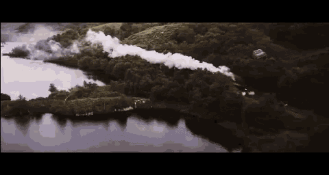 an aerial view of a train going down a river surrounded by trees .