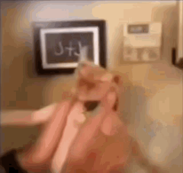 a blurry picture of a person talking on a cell phone in front of a picture on the wall .