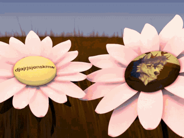 two pink daisies with a yellow center that says djairjsjenskrmw