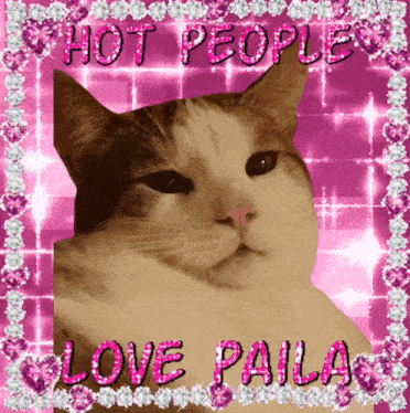a picture of a cat with the words hot people love paila on the bottom