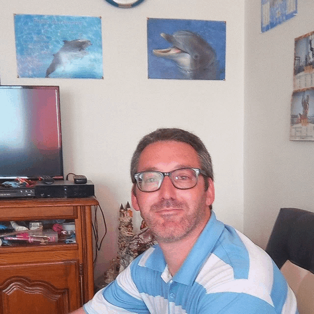 a man wearing glasses sits in front of a television and a dolphin poster on the wall