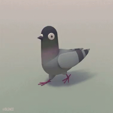 Bird Pigeon GIF - Bird Pigeon GIFs