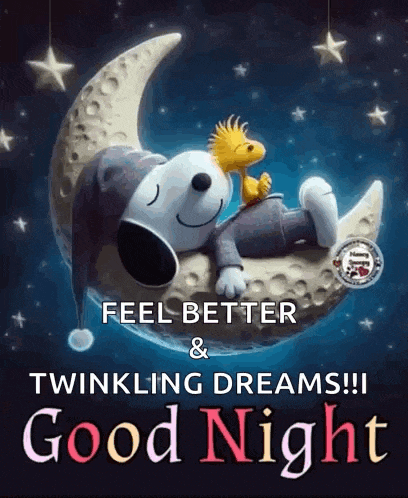 snoopy and woodstock are sleeping on a crescent moon and wishing you a good night .