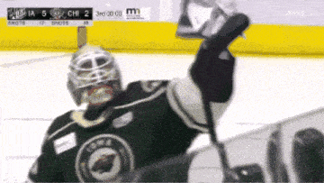 a hockey player in a green jersey with the word wild on the front