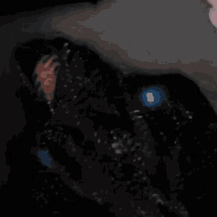 a person is wrapped in a black bag and sleeping in a dark room .