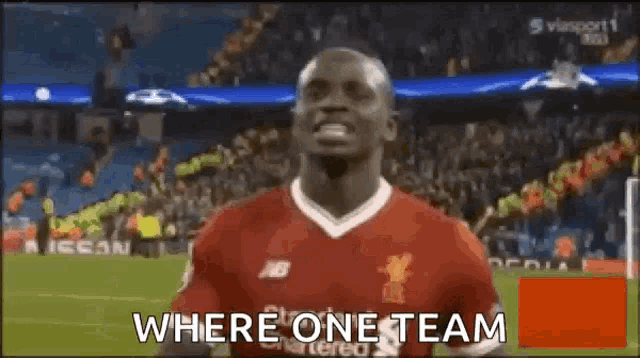Liverpool Fans Fc Excited GIF