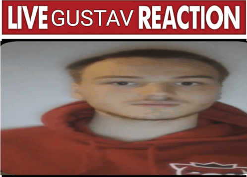 Gustav GIF - Gustav GIFs