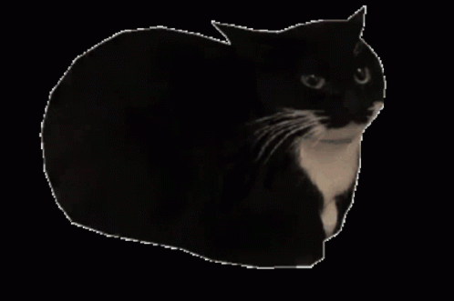 Spinning Cat Maxwell GIF - Spinning Cat Maxwell Maxwell The Cat GIFs