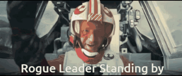 a man wearing a helmet with the words rogue leader standing by below him