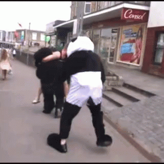 Running Panda GIF - Running Panda Funny GIFs