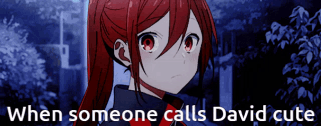a picture of a girl with red hair and the words " when someone calls david cute "