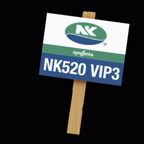 Nk520vip3 Versatilidade GIF - Nk520vip3 Versatilidade Duplaaptidão GIFs