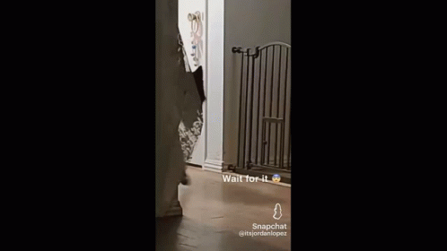 Hell Hound Scary GIF - Hell Hound Scary Dog GIFs