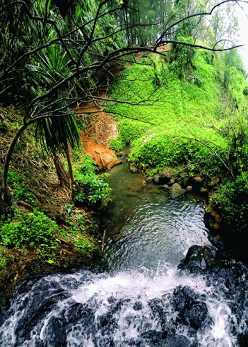 Waterfalls Nature GIF - Waterfalls Nature Peaceful GIFs